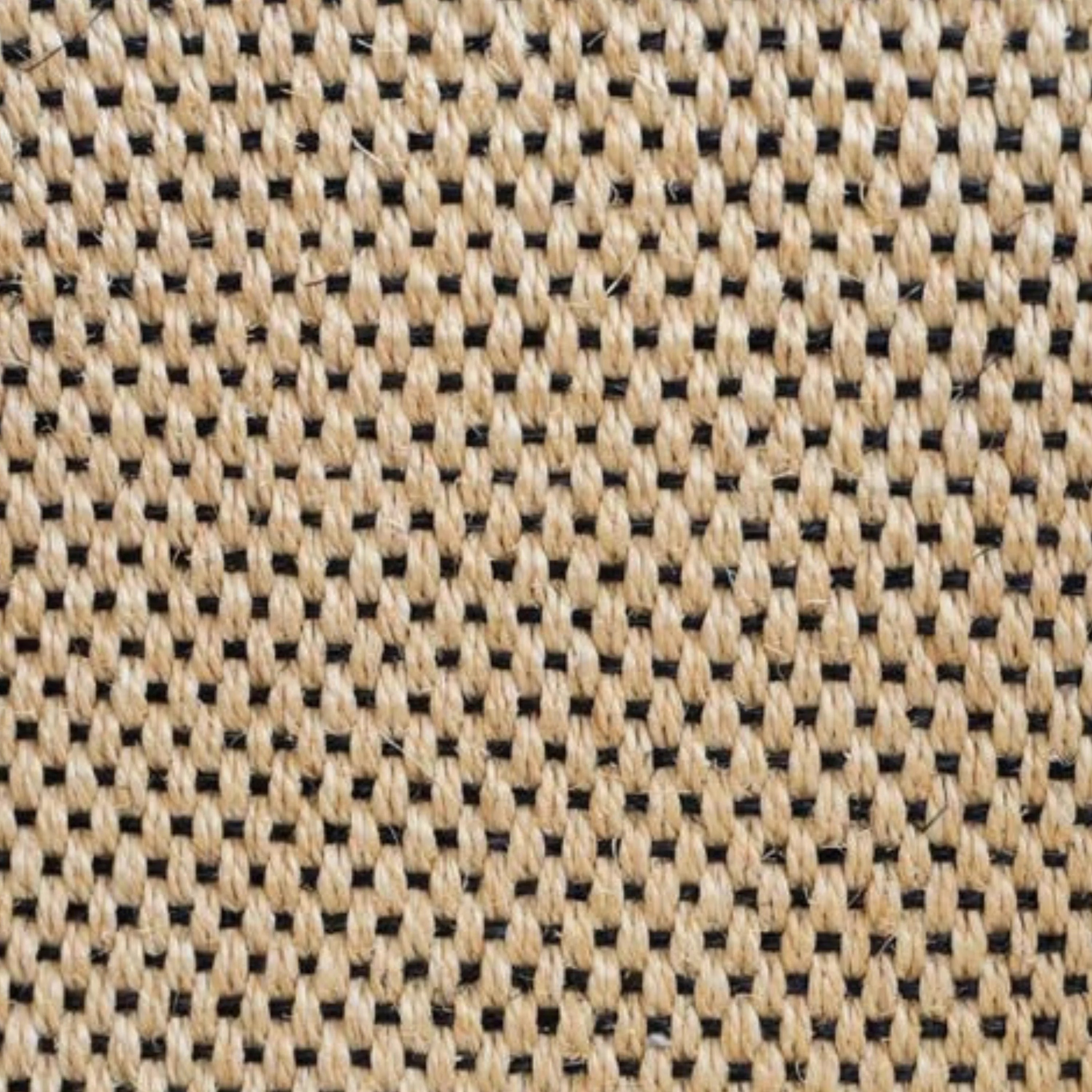 Paamul Rug
