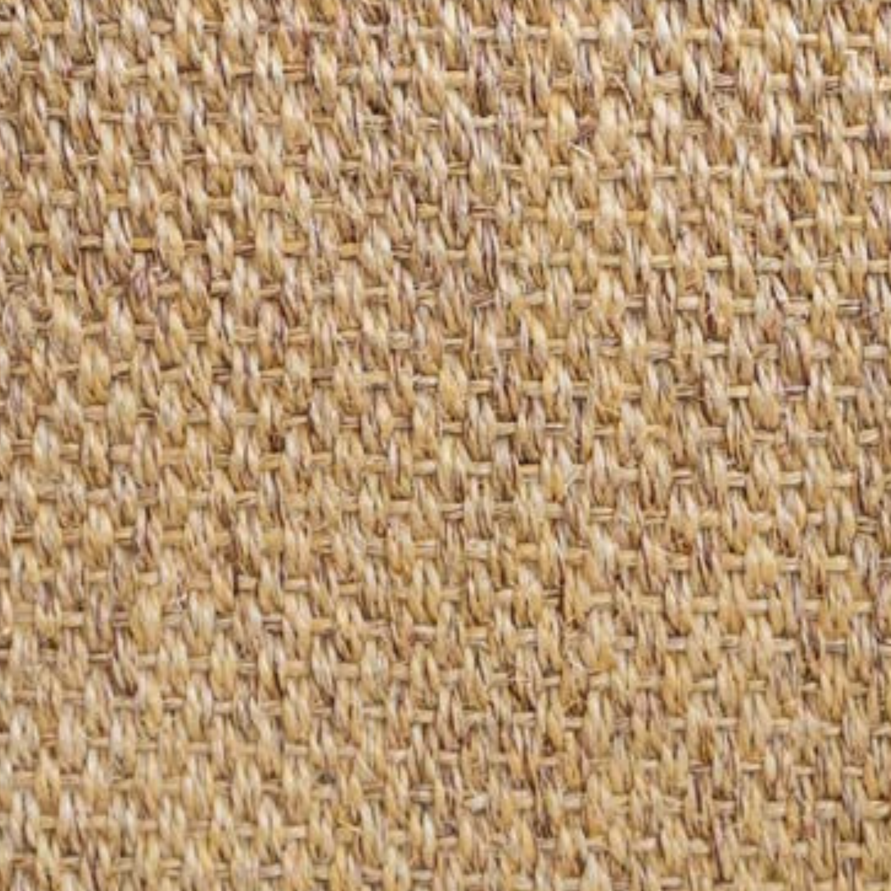 Paamul Rug