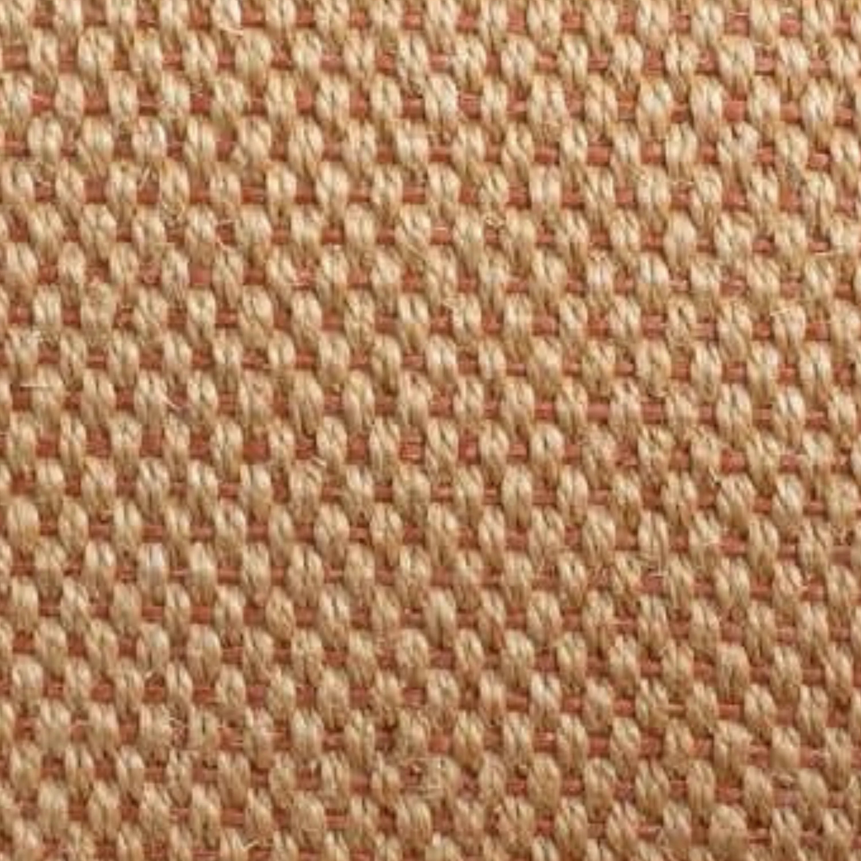 Paamul Rug