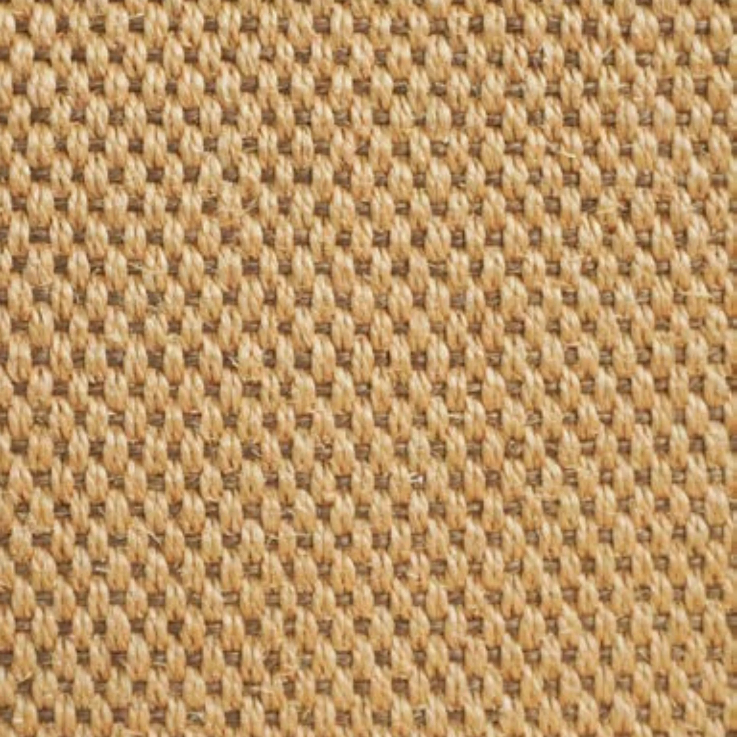 Paamul Rug